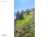 1231163364 MUĞLA-AYDIN KARAYOLU ÜZERİNDE FIRSAT ARAZİ
