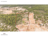 1216290646 ÇIRPI'DA SATILIK EMSALSİZ RAKAM DA 21.500 M2 ARAZİ