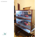 1276597643 2 katlı CİVCİV BÜYÜTME GALVENİZ ANAKUCAĞI KAFESİ 