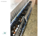 1276600931 10 GÖZLÜ OTOMATİK TAVUK FOLLUK GALVANİZ 70-80 tavuk için ideal